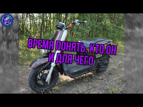 Видео: Yamaha VOX 50 или штука на все случае жизни