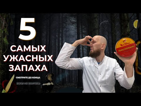 Видео: ТОП 5 самых ужасных запахов в мире | Почему их так сложно выносить?