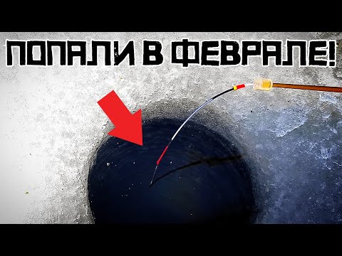 Видео: ТЁМНАЯ ЛУНКА ВЫДАЛА КРУПНОЕ!!! Нарвались под ВЕЧЕР на ЖОР! Зимняя рыбалка 2025.