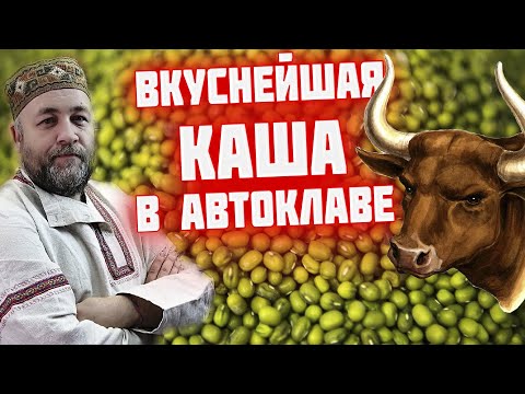 Видео: Такую кашу в магазине не купишь  Маш с говядиной   Домашние консервы в автоклаве
