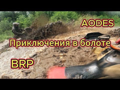 Видео: Приключения в болоте на Can-Am Renegade и Aodes Mud Pro 1000
