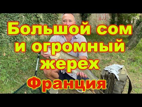 Видео: ОБАЛДЕТЬ,😲 БОЛЬШОЙ СОМ НА 0,10 ШНУР😱И ТРОФЕЙНЫЙ ЖЕРЕХ. Рыбалка во Франции, с Андрюхой #франция #сом