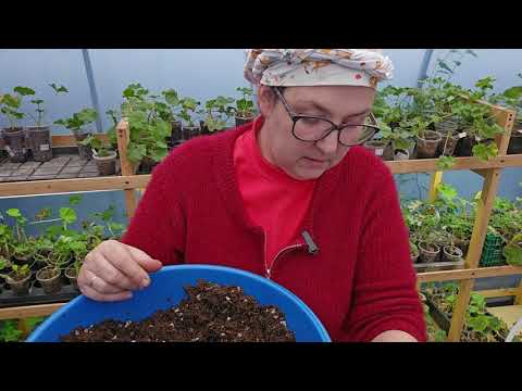 Видео: Болталка,пересадки 
