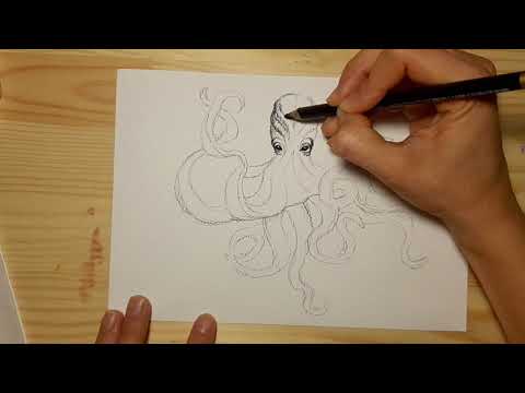 Видео: Как нарисовать осьминога карандашом поэтапно для начинающих