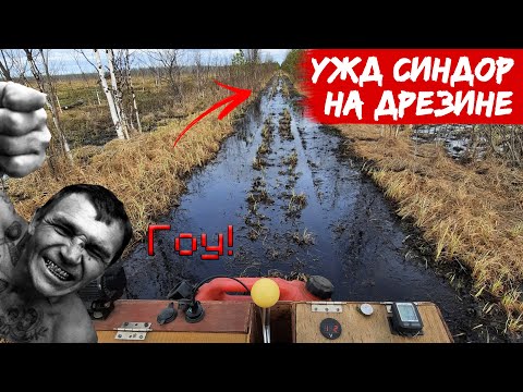 Видео: На дрезине по УЖД Синдор.