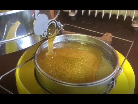 Видео: Пчеловодство в Германии . Часть 2.