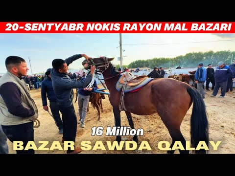 Видео: 20-СЕНТЯБРЯ НОКИС РАЙОН МАЛ БАЗАР ТЕЗ КОРЕМИЗ БАЗАРДА САУДА КАЛАЙ 