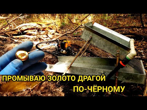 Видео: ПРОМЫВАЮ ДРАГОЙ ПО-ЧЁРНОМУ