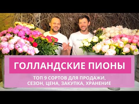 Видео: ГОЛЛАНДСКИЕ ПИОНЫ | ТОП 9 сортов голландских пионов для продажи. Сезон пионов. Цена пионов.