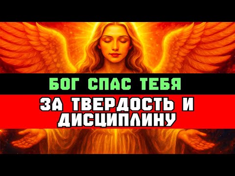 Видео: Избранный, твоя дисциплина спасла тебя — Бог гордится тобой! 🙌🔥