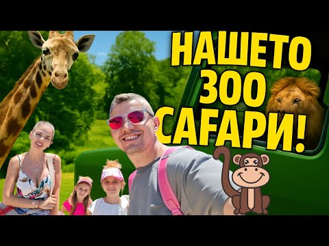 Видео: ЛЪВ ДО ДЖИПА НИ?! 😱 Нашето лудо зоо сафари с децата | Zoo Safari Fasano, Италия 🇮🇹