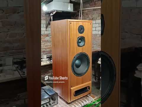 Видео: авторская акустика "Custom Acoustic" #колонки #музыка #woodworking #acoustic