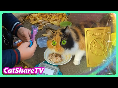 Видео: Она Ждала Нас Каждый День! 🔥