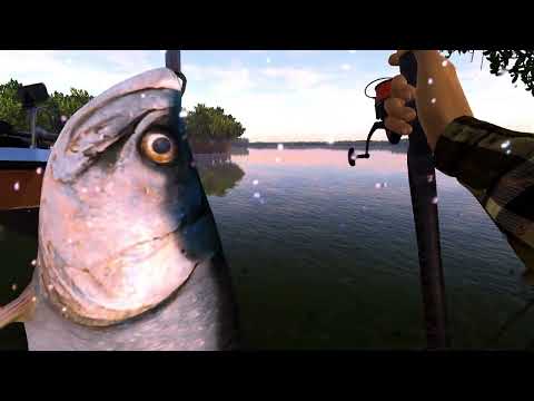 Видео: Fishing Planet. Остров Голубых Крабов. Гайд по фарму