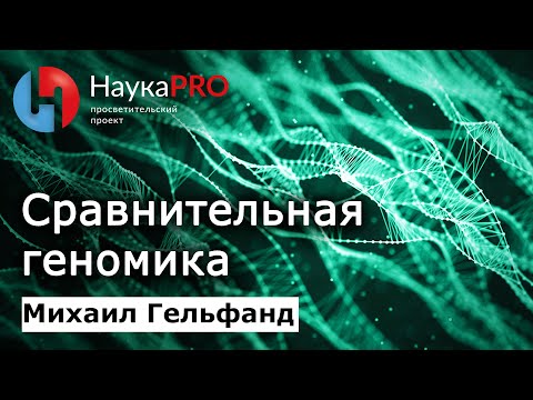 Видео: Сравнительная геномика – биоинформатик Михаил Гельфанд | Научпоп