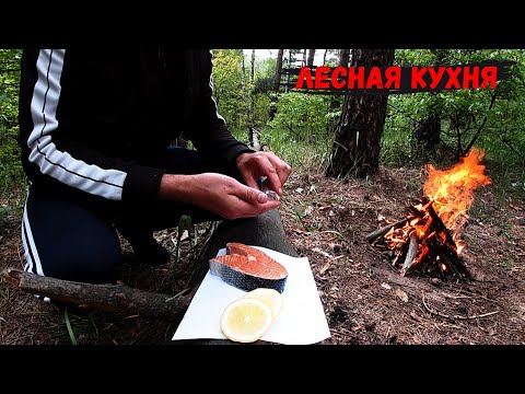 Видео: ЛЕСНАЯ КУХНЯ / Готовлю ЛОСОСЬ на костре / выезд в лес на Bajaj Boxer 150 X