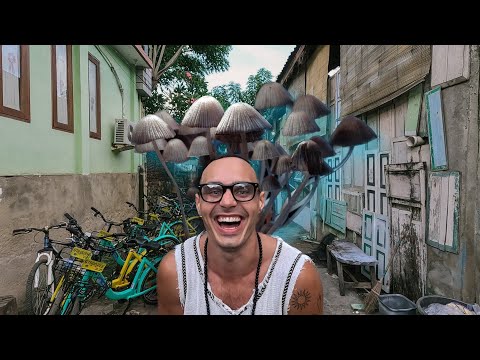 Видео: ГРИБНОЙ ТРИП НА ГИЛИ. ЖИВУ В ШАЛАШЕ НА МАЛЕНЬКОМ ОСТРОВЕ. ДВА ЛУЧШИХ ДНЯ В ИНДОНЕЗИИ. #6