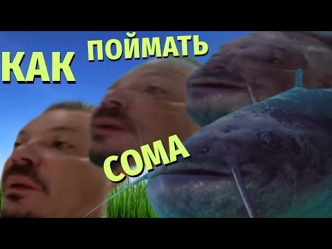 Видео: Как поймать Сома Сергея Симонова за язык