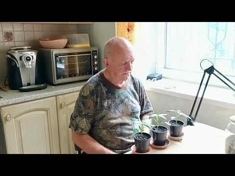 Видео: Рассказ о моих "косяках".