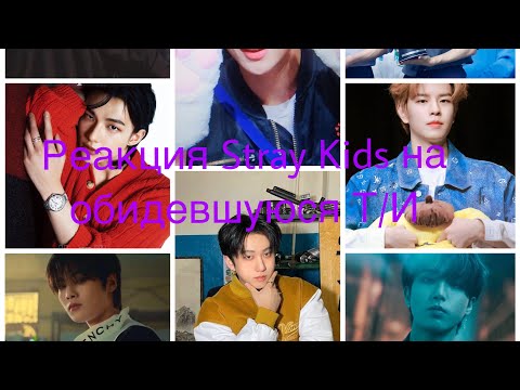 Видео: Реакция Stray Kids на обидевшуюся Т/И