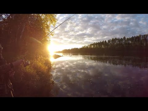 Видео: Рыбалка в Тайге. Поиск тайменя на реке ТЫНДА