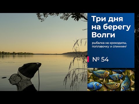 Видео: 54 / Рыбалка с ночёвкой / Волга / Донки / Поплавочная удочка / Спиннинг / Тверская область / Лето