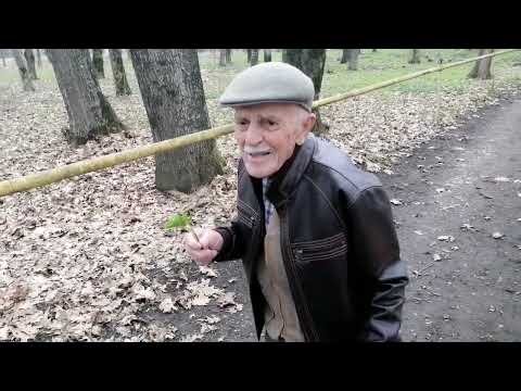 Видео: Сныть, дубы и червячки.