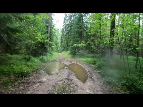 Видео: 🎵 Будто время останавливается. Когда еду на мопеде. #путешествие #намопеде #альфа 