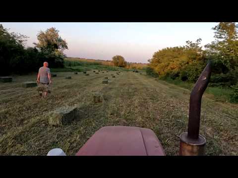 Видео: Сгребаем, прессуем сено. Жара за 40+. Как заготовить сено.