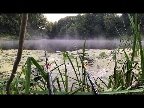 Видео: Рибалка на Сулі з ночівлею. 01.08.25