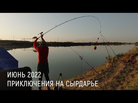 Видео: РЫБАЛКА НА СЫРДАРЬЕ В ИЮНЕ: Поиск новых мест, приключения на неприступном острове.