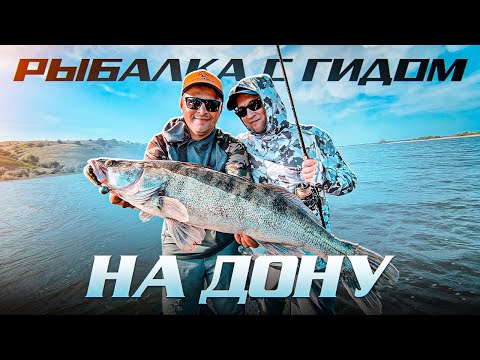 Видео: РЫБАЛКА С ГИДОМ НА ДОНУ. ЛОВЛЯ СУДАКА.  РАЗДАЧИ ТАКИЕ, ЧТО ЛОВИТ ДАЖЕ ОПЕРАТОР.