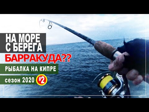 Видео: Кипр.Часть - 2. Сезон 2020. Море, барракуда и сход МОНСТРА!