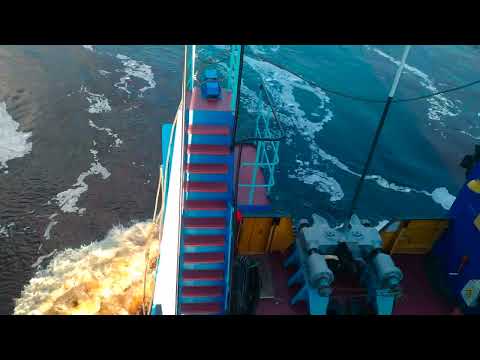 Видео: Покорение притоков в 2024 году.