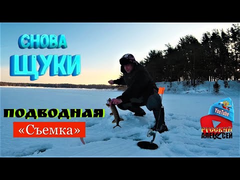 Видео: ✔ЗИМНЯЯ РЫБАЛКА НА КАРЬЕРЕ. Рыбалка на щуку и плотву.  Подводные съемки рыбы.Оставил жерлицы на ночь