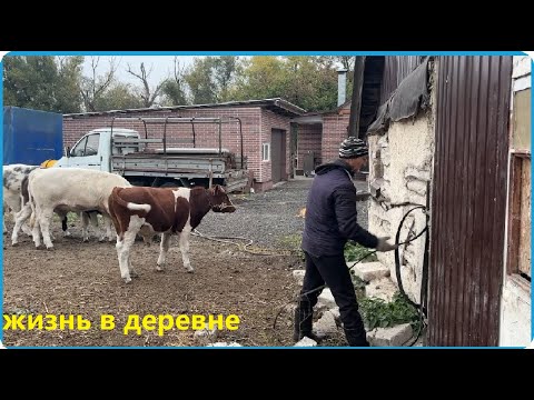 Видео: МЫ САМИ ВЫБРАЛИ ЭТОТ ПУТЬ, И НАС ВСЁ УСТРАИВАЕТ, ЖИЗНЬ В ДЕРЕВНЕ