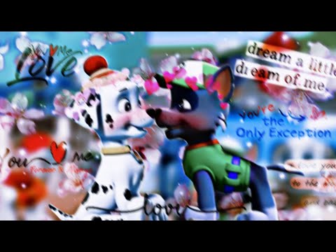 Видео: ❤Маршалл и Рокки💚(Я хочу быть с тобой)~Для канала Эверест_$Gonshik$~❤Marshall x Rocky💚