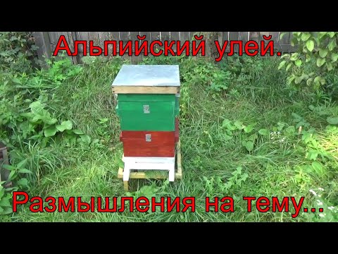 Видео: Альпийский улей. Размышления на тему...