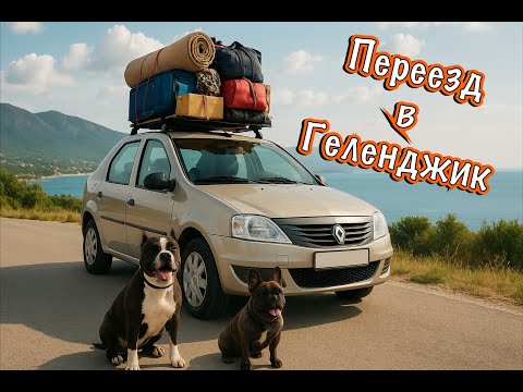 Видео: Переезд из Санкт-Петербурга в Геленджик