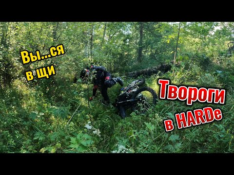 Видео: Эндуро. Новички едут в хард. Минусинск #enduro #husqvarna #ktm #питбайк