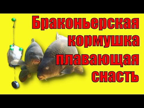 Видео: Браконьерская снасть плавающая кормушка на карпа и карася. Poaching tackle.