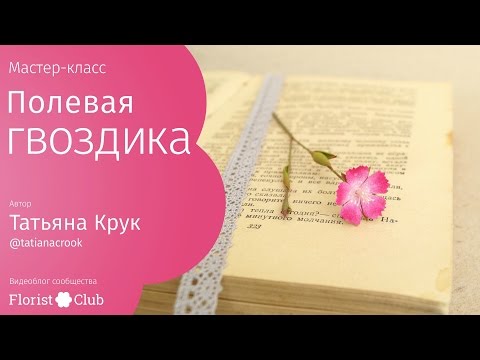 Видео: Мастер-класс «Полевая гвоздика» • фоамиран, акрил, масляная пастель