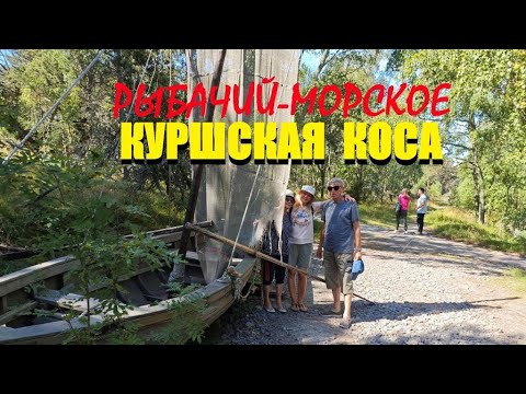 Видео: Ч5🦌КУРШСКАЯ КОСА.От залива до моря.Рыбачий[Кирха]-Морское[Коттедж]с пляжа на шашлык.