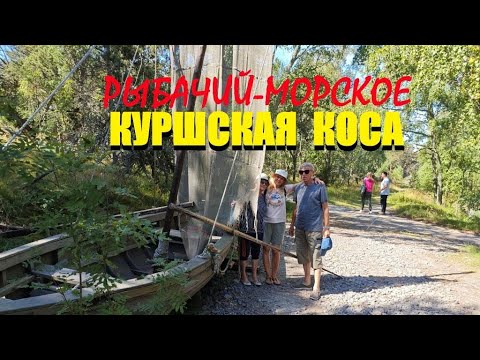 Видео: Ч5💋КУРШСКАЯ КОСА.От залива до моря.Рыбачий[Кирха]-Морское[Коттедж]с пляжа на шашлык.