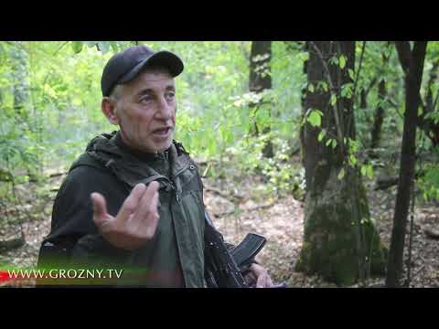 Видео: Охота на дикого кабана