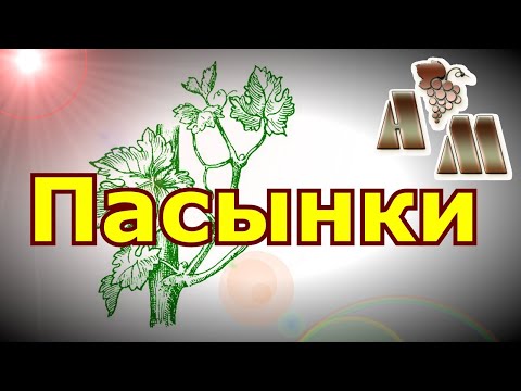 Видео: 🍇 Как пасынковать виноград