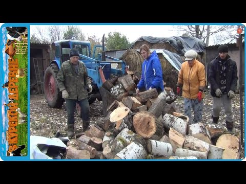 Видео: В ДЕРЕВНЕ ДРОВ МНОГО ХВАТИТ НА ВСЕХ