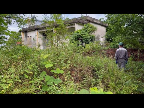 Видео: Мы исследовали ужасающий заброшенный дом. Уборка. Преобразили заросший двор перед домом.