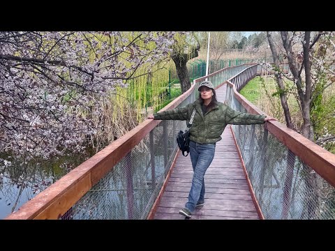 Видео: Румыния. Констанца. ПРИЕХАЛИ СЮДА И НЕ ПОЖАЛЕЛИ! Неоднозначные впечатления…