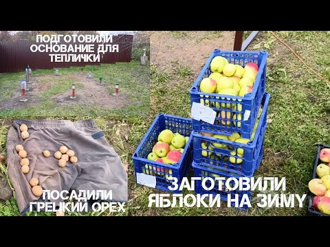 Видео: 🍂Завершаем осенние работы на участке в деревне. 🍁
